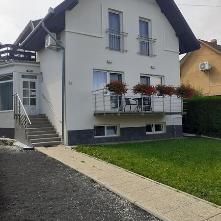 Family Panzio Zalakaros Bed & Breakfast エクステリア 写真
