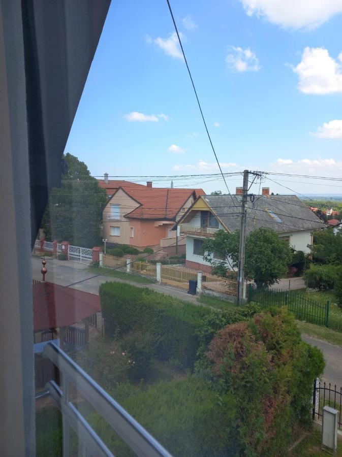 Family Panzio Zalakaros Bed & Breakfast エクステリア 写真