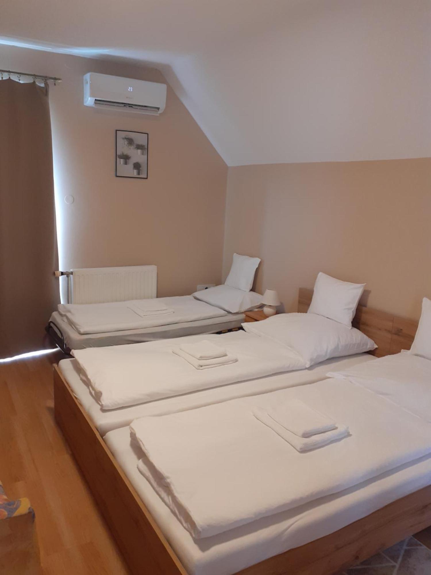 Family Panzio Zalakaros Bed & Breakfast エクステリア 写真